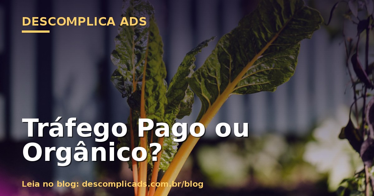 Tráfego Pago ou Orgânico: Qual Vale Mais a Pena?